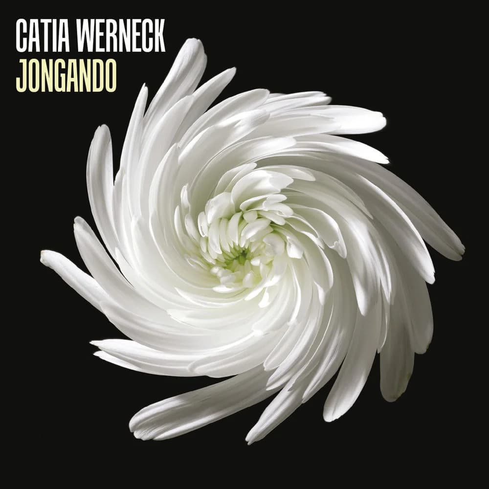 Catia Werneck