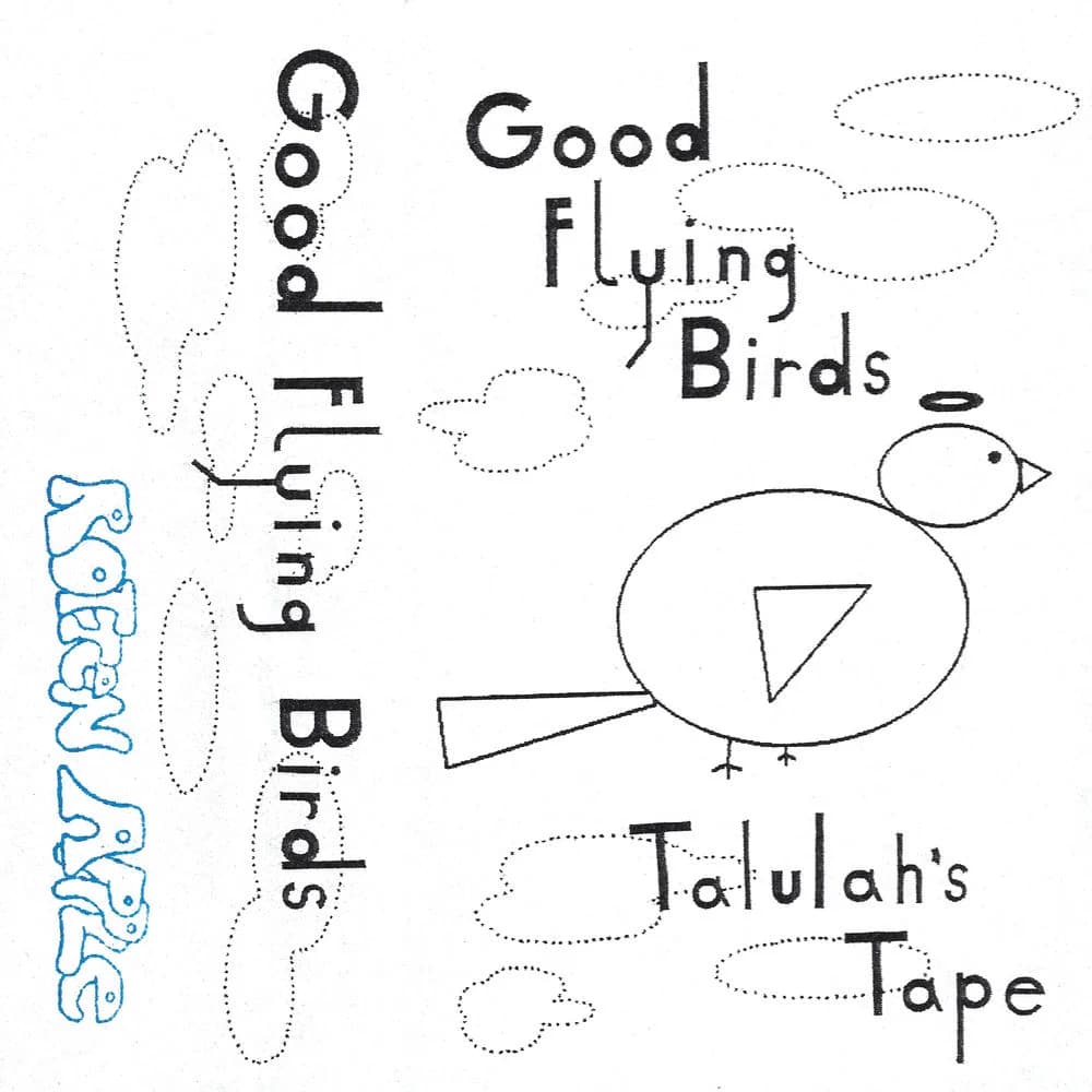 good flying birds