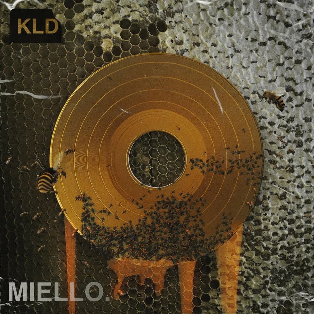 KLD