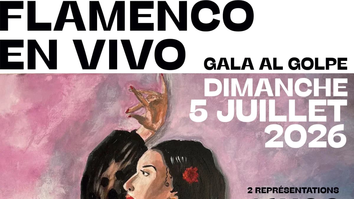 Flamenco en Vivo — Maison des Associations