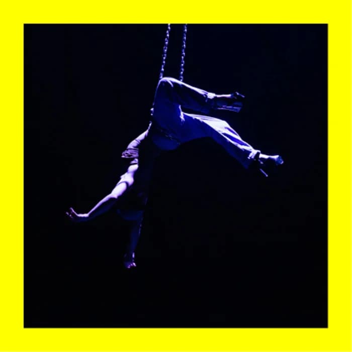 IL N’Y A PAS QUE LES CHAT·TES QUI ONT 9 VIES · Cirque Queer — Théâtre l'Aire Libre