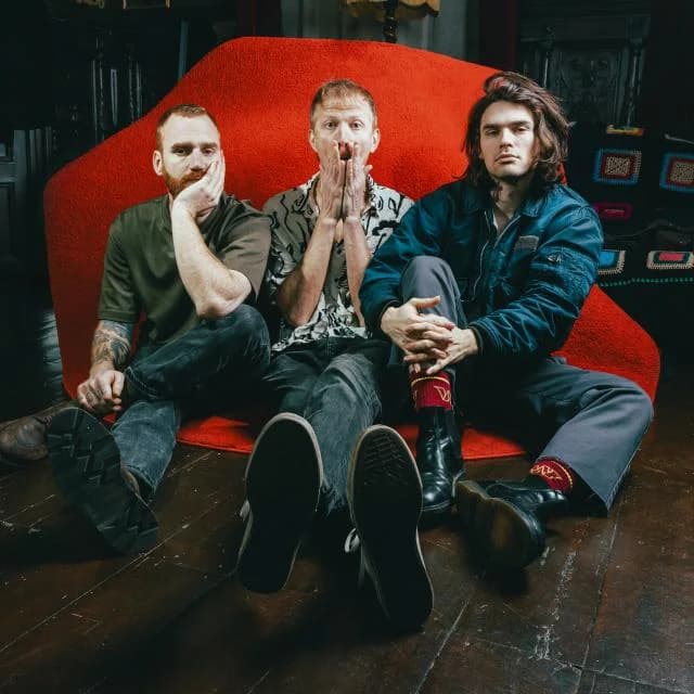 La Jungle + Adult DVD + Chest — Antipode