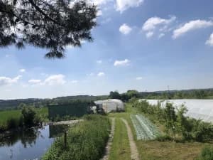 Le Courtil des Rainettes