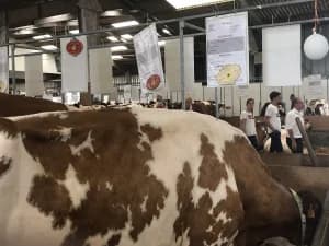Parc Expo Rennes