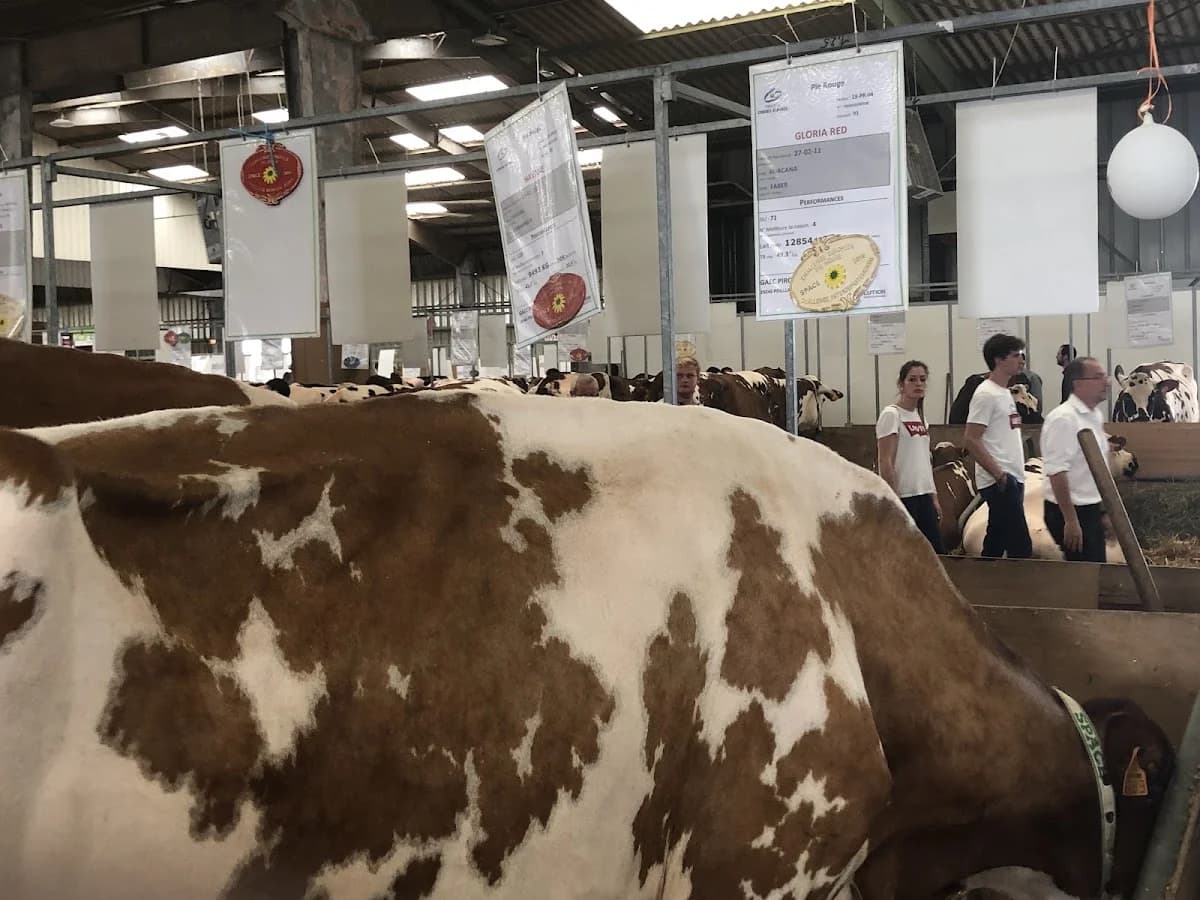 Rennes parc expo