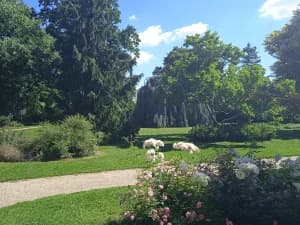 Square de Villeneuve