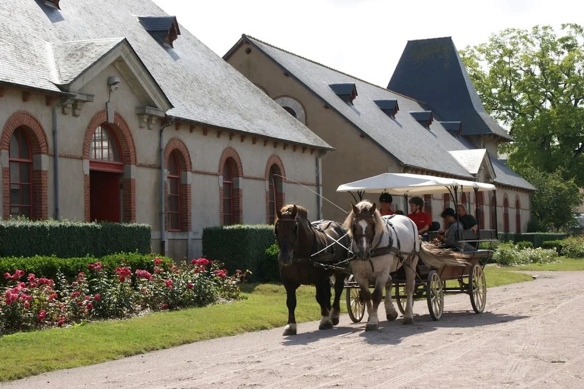 Terrasse du Haras